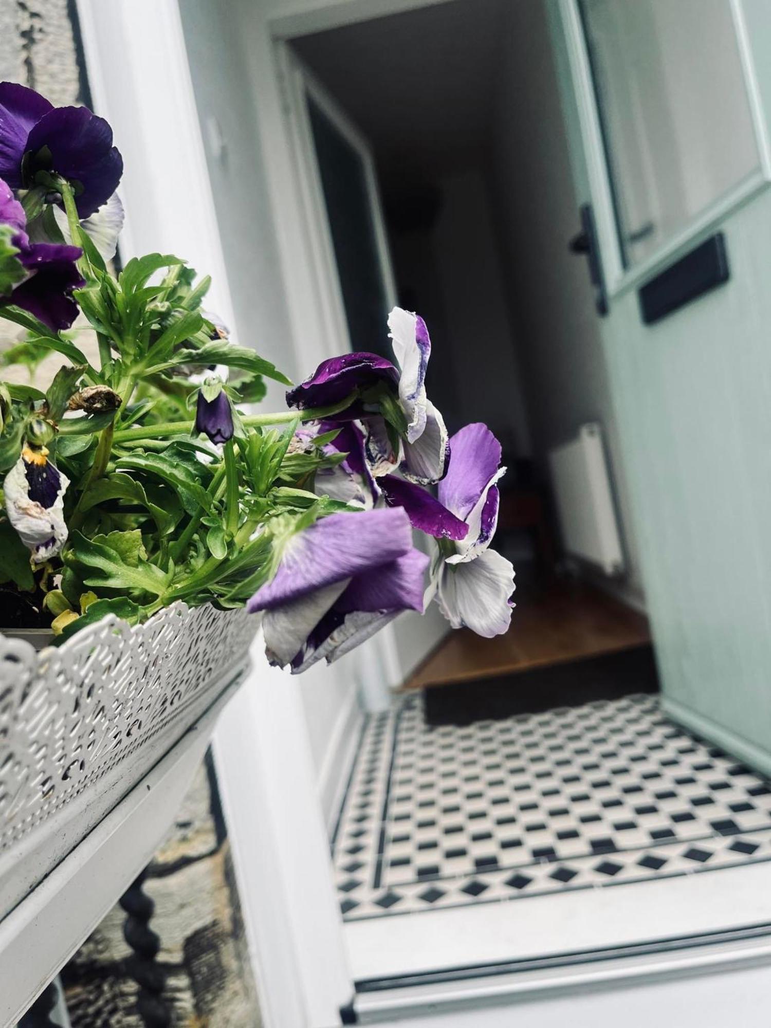 7A Seatreat Apartment Kinghorn Ngoại thất bức ảnh